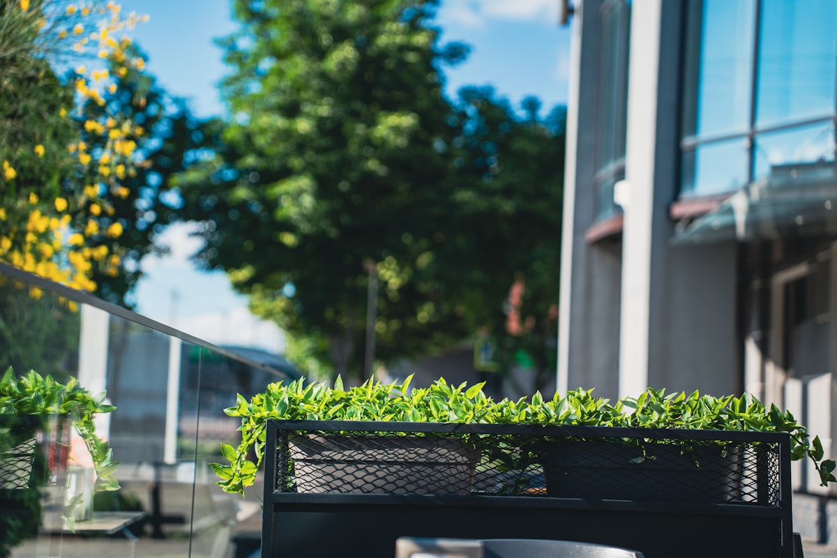 Urban courtyard garden with vertical planting and compact design