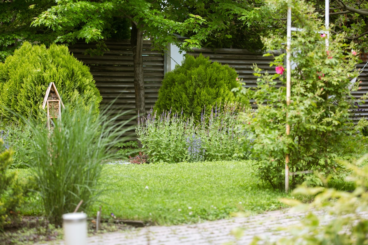 Formal garden with symmetrical design, boxwood hedges, and structured topiary
